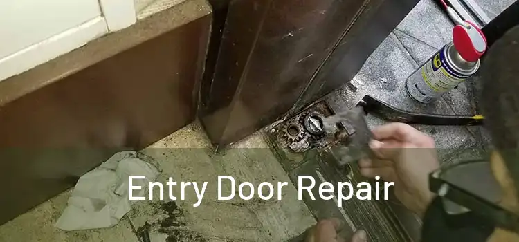 Entry Door Repair