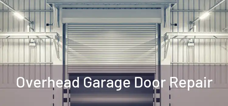  Overhead Garage Door Repair 